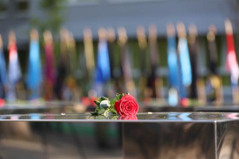 Photo by Hina/Damir Senčar
