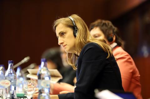 © South Programme V, joint programme between European union and the Council of Europe