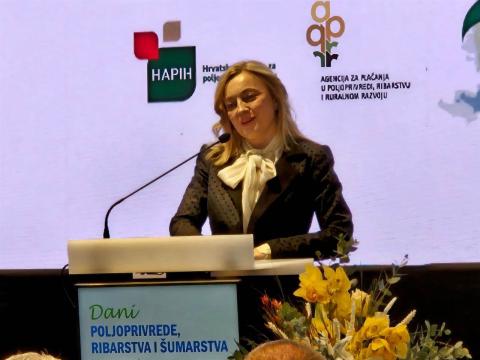 foto: Hina/Siniša Kalajdžija