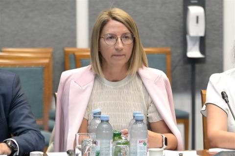 Foto: Hrvatski sabor