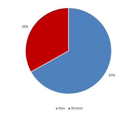 Gender representation (pie)
