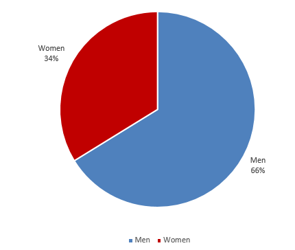 Gender representation (pie)