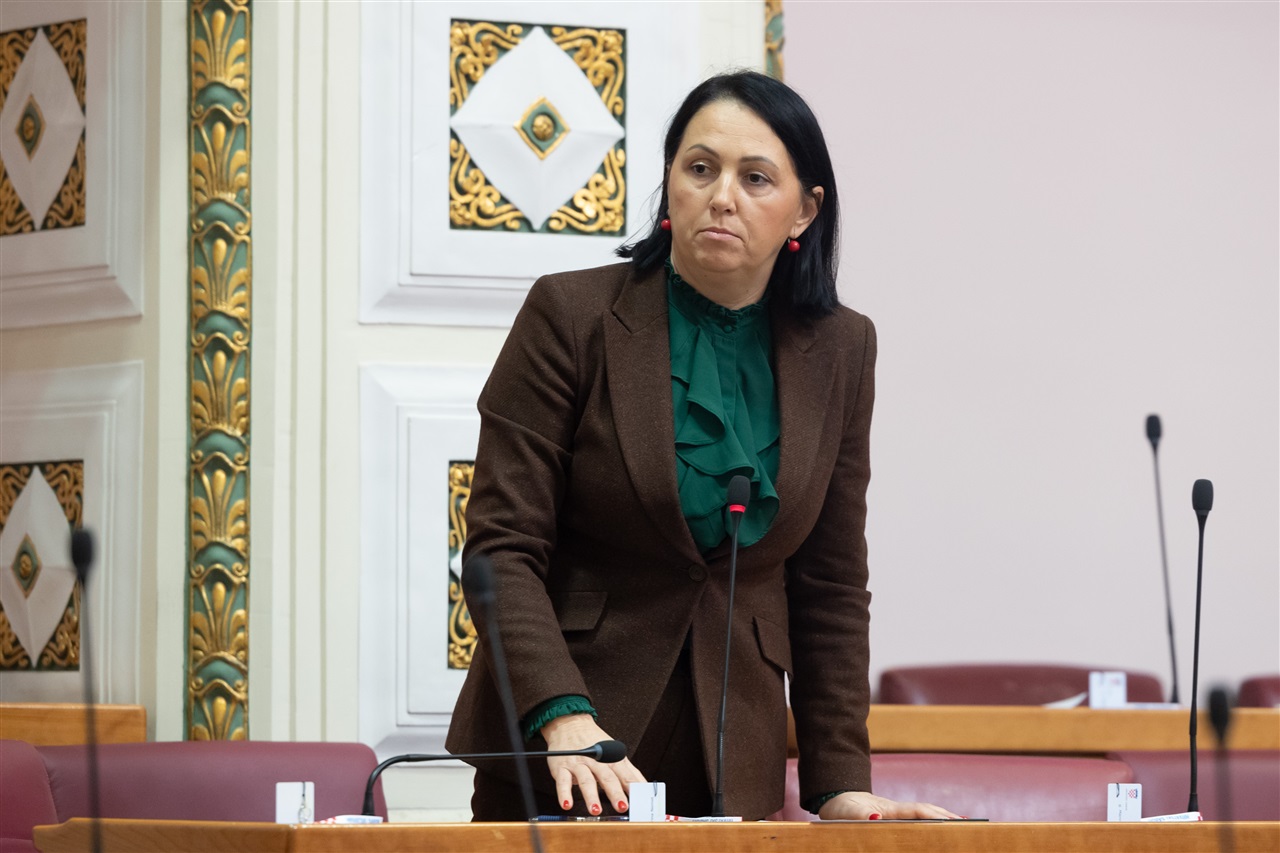 MP Katarina Nemet, Istrian Democratic Party (Photo: Hina/Edvard Šušak)