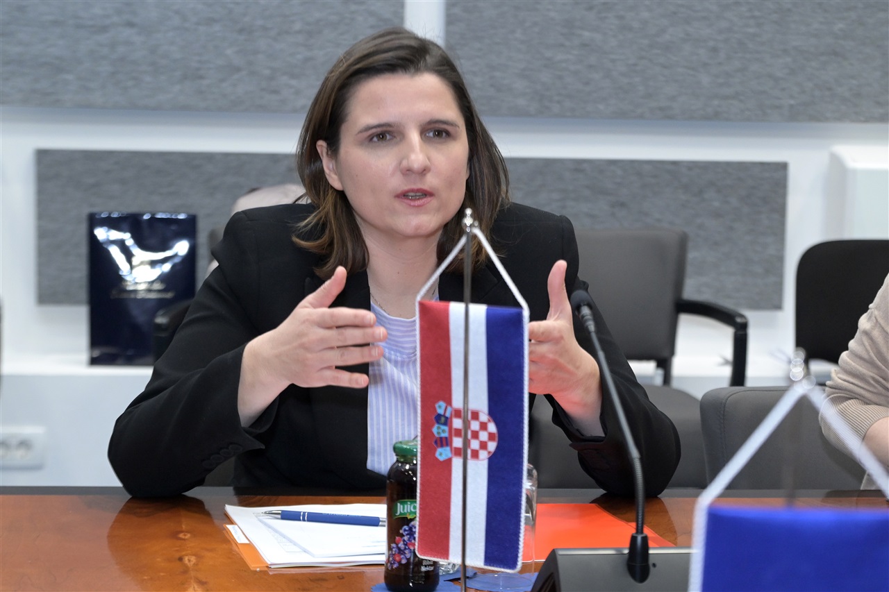 Foto: Hrvatski sabor