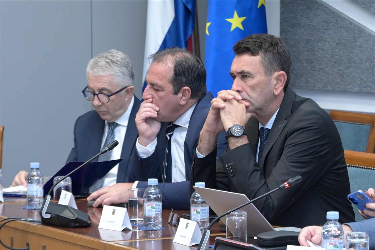 Foto: Hrvatski sabor