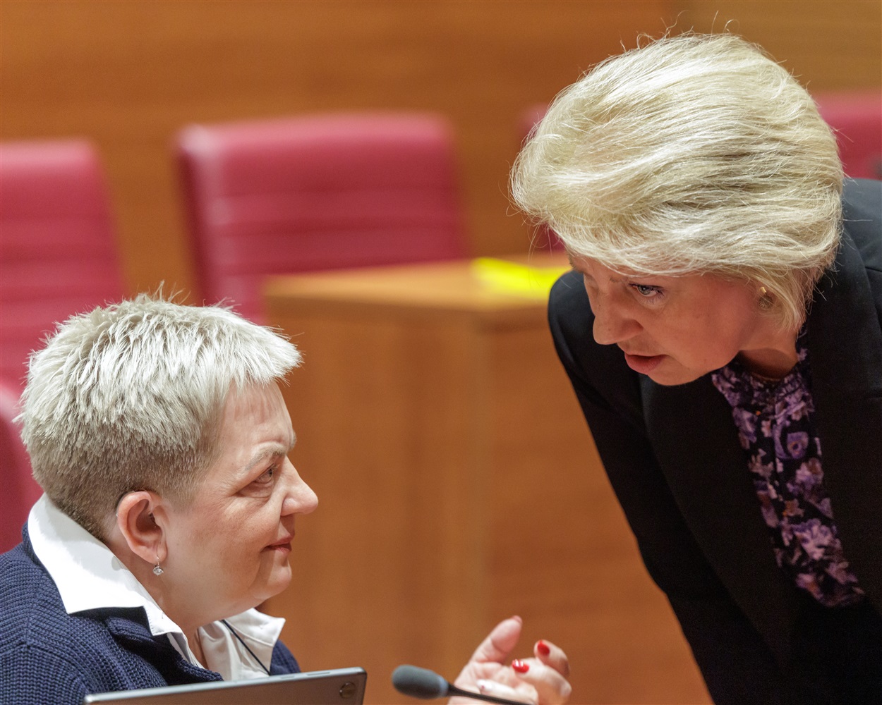 MP Ljubica Lukačić and State Secretary Metelko-Zgombić (Photo: Hina/Edvard Šušak)