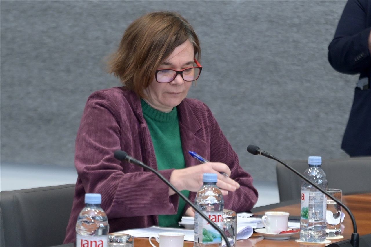 Foto: Hrvatski sabor