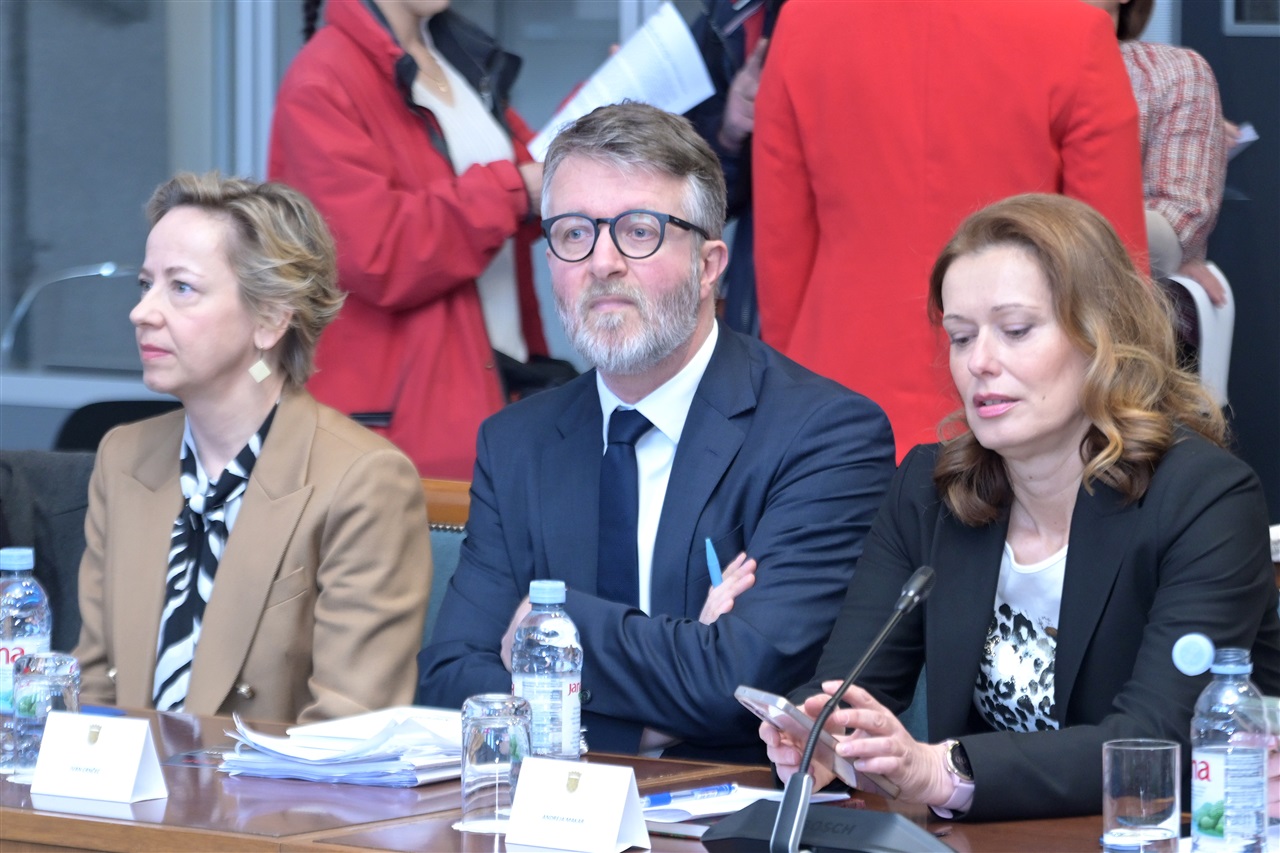 Foto: Hrvatski sabor