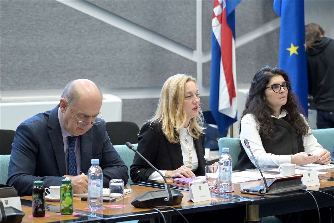 Foto: Hrvatski sabor